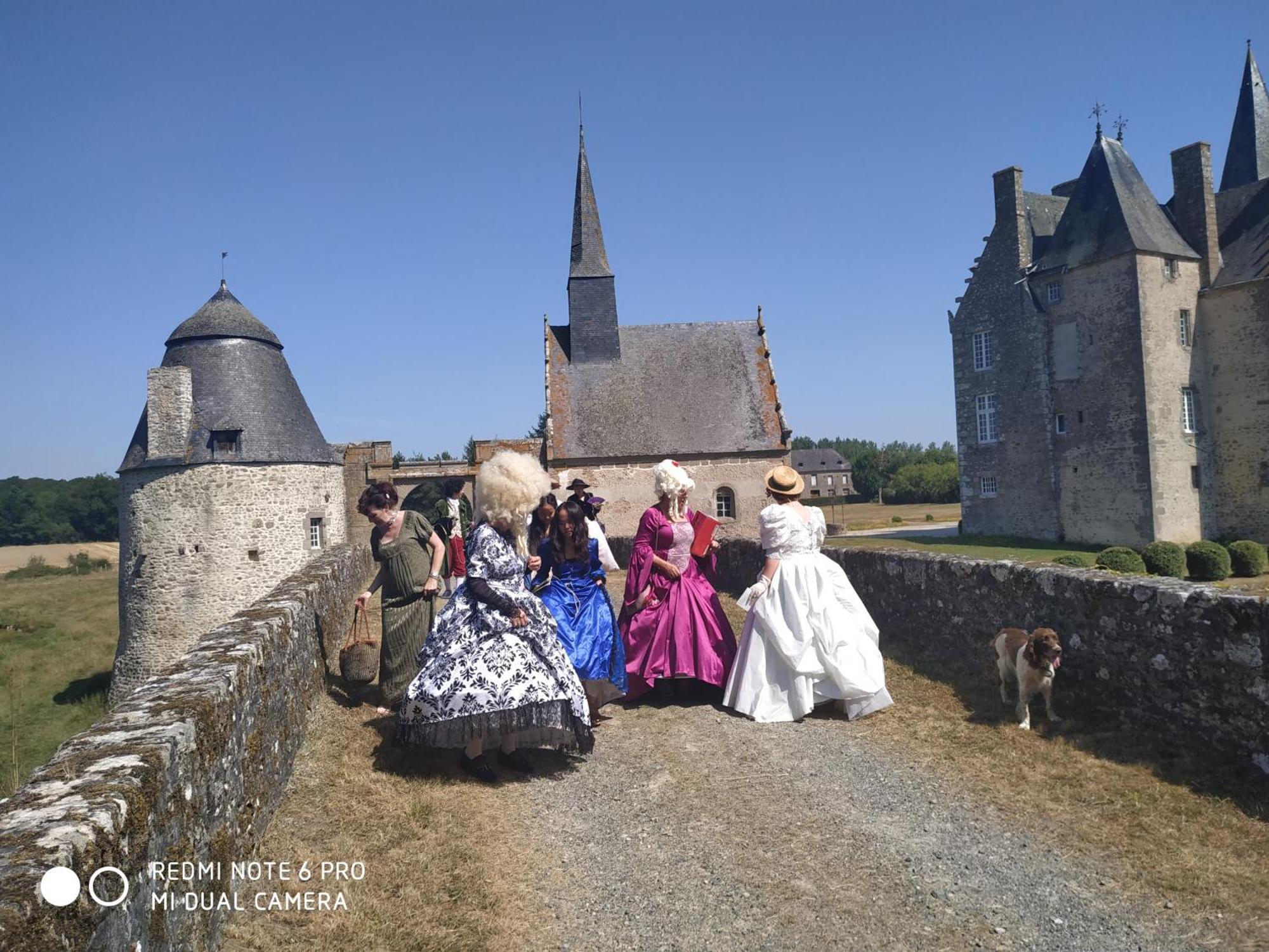 Chateau De Bourgon Montourtier Екстериор снимка